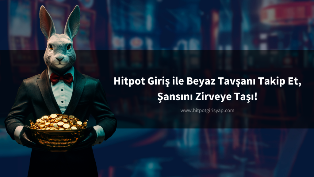 Hitpot giriş